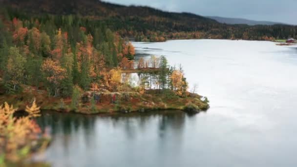 Widok Powietrza Szeroką Rzekę Przepływającą Przez Jesienną Dolinę Droga Biegnie — Wideo stockowe