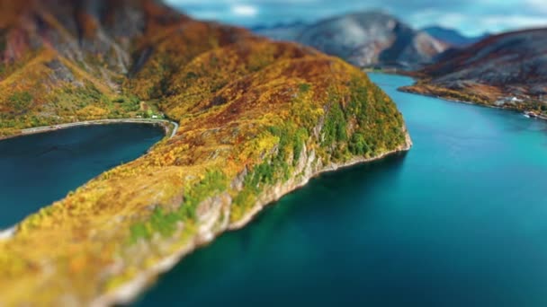 森の山の島の海岸覆われた 海岸線に沿って細い道が続く 空中展望 高品質4K映像 — ストック動画