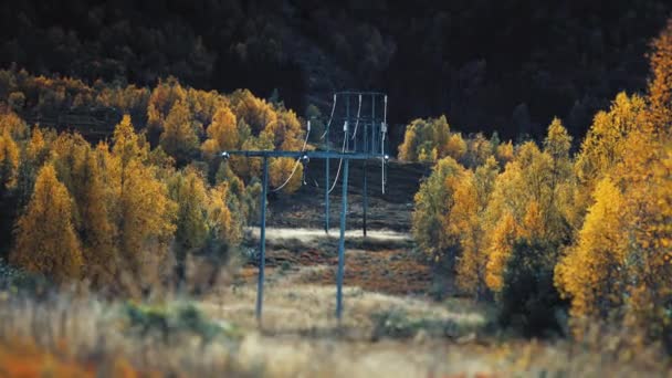 Yukarıdaki Elektrik Hatları Ormandaki Açıklıktan Geçiyor Yavaş Çekim Sola Dön — Stok video
