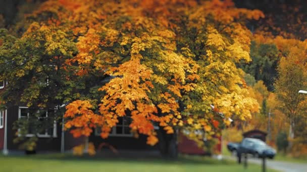 Venkovské Domy Zelenými Trávníky Podzimní Krajině Severním Norsku Hory Tyčí — Stock video