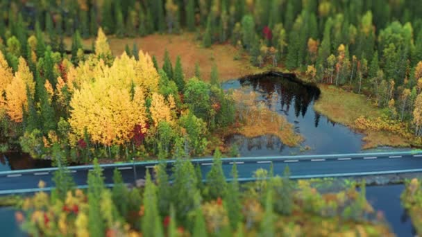 Sonbahar Ormanlarında Dolanan Sığ Nehrin Hava Manzarası Yakınlarda Bir Araba — Stok video