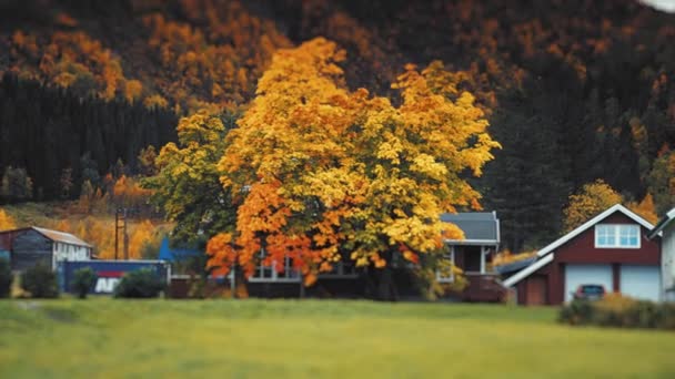 北ノルウェーの秋の風景の中にカントリーハウス 背景には山の塔 高品質4K映像 — ストック動画