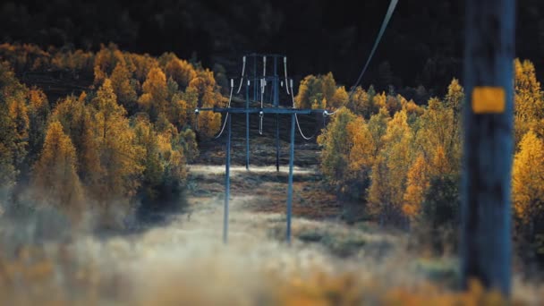 Villanyvezetékek Erdő Tisztásán Mennek Lassíts Fordulj Jobbra Kiváló Minőségű Felvételek — Stock videók