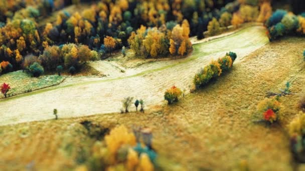 秋の森に囲まれた部分的に刈られた農場のフィールド空中ビュー 傾きシフトビデオ 高品質4K映像 — ストック動画