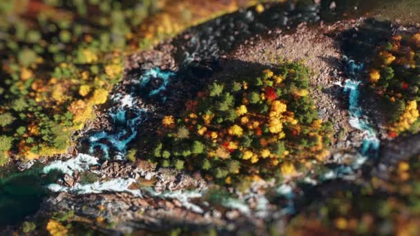 Shallow Mountain River Cascades Rocky Riverbed Miniaturized View Aerial View — Stock Video