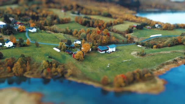 Miniature Village Shores Fjord Farm Fields Surrounded Autumn Trees Flock — Stock Video