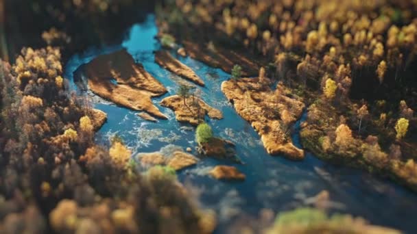 Płytka Rzeka Meandry Przez Zalesioną Dolinę Odzwierciedlając Ciepłe Odcienie Jesieni — Wideo stockowe