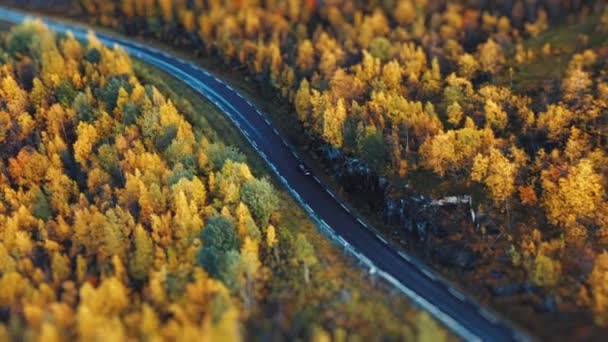 Ein Einziges Auto Folgt Der Schmalen Asphaltstraße Die Vom Herbstlichen — Stockvideo