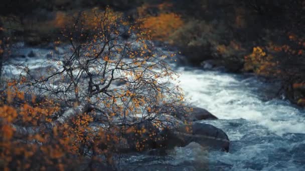 Natures Beauty Rocky River Flows Autumn Landscape Slow Motion Pan — Stock Video