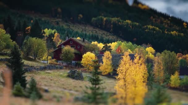 Several Wooden Houses Hidden Trees Stand Mountains Foothills Bright Colored — Stock Video