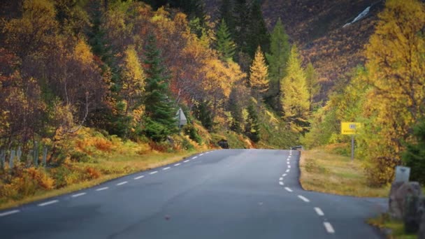 ノルウェーの秋の風景を通して狭いアスファルトの道路の風 スローモーション パンを残しました 前景がぼやけてる 高品質4K映像 — ストック動画