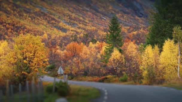 ノルウェーの秋の風景を通して狭いアスファルトの道路の風 スローモーション パンを残しました 前景がぼやけてる 高品質4K映像 — ストック動画
