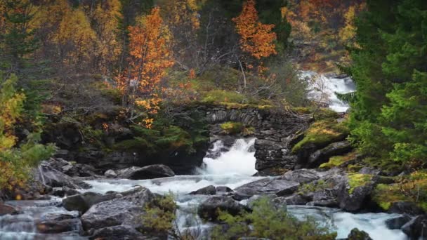 Starý Kamenný Most Nad Horskou Řekou Obklopený Podzimním Lesem Klidné — Stock video