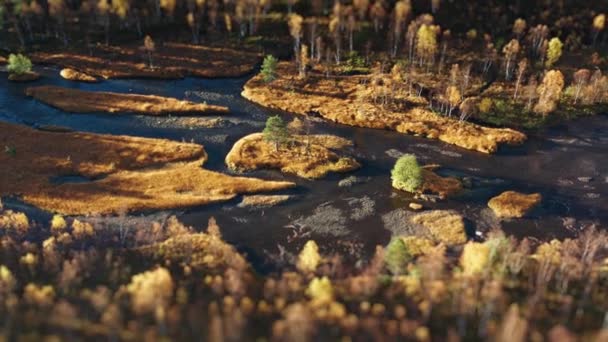 Płytka Wąska Rzeka Meandry Przez Zalesioną Dolinę Odzwierciedlając Ciepłe Odcienie — Wideo stockowe