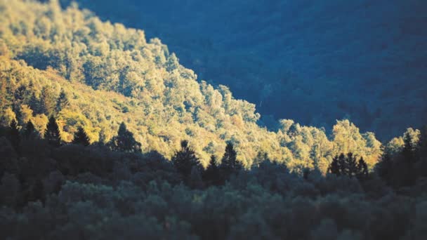 Letecký Pohled Zminiaturizované Strmé Lesy Pokryté Svahy Jezero Pod Nimi — Stock video