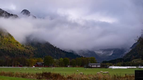 一群羊在山脚下的绿色牧场上吃草 云朵旋转着求爱 时间流逝视频 高质量的4K镜头 视频剪辑