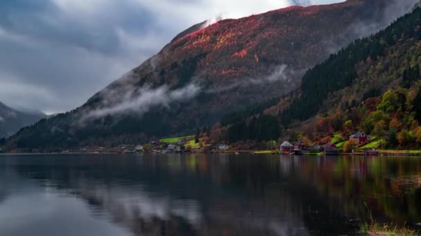 Jasné Podzimní Barvy Sluncem Zalitých Březích Fjordu Načasování Přiblížit Záběr — Stock video