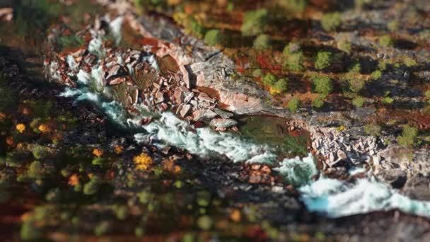 一条山河流过岩石地形 一个小型化的视图 空中视图 倾斜移位 环路视频 高质量的4K镜头 图库视频片段