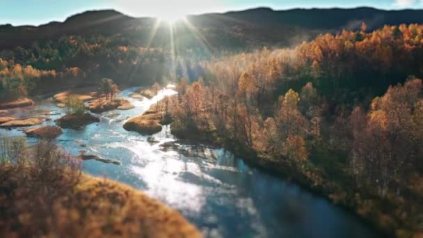 宽阔的浅水流过阳光普照的森林山谷 反映了地面上秋天的温暖色调 空中视图 倾斜移位 高质量的4K镜头 — 图库视频影像