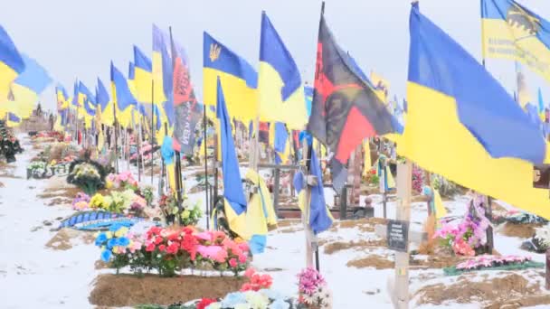 Kharkiv Kharkiv Oblast Ukraine February 2023 City Cemetery Graves Ukrainian — ストック動画