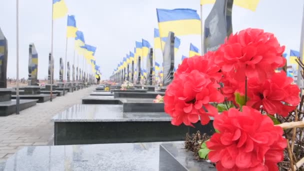 Kharkiv Oblast Kharkiv Ucrânia Fevereiro 2023 Cemitério Cidade Túmulos Soldados — Vídeo de Stock