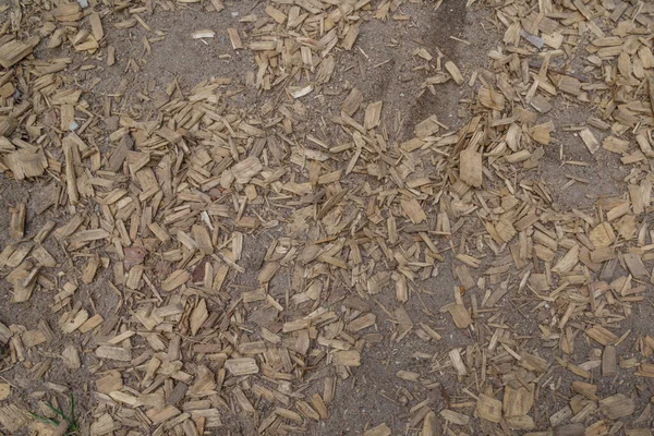 Texture Woodchips Forrest Ground — Stock Photo, Image