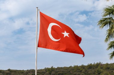 Çeviri Türkiye Bayrağı Rüzgarda