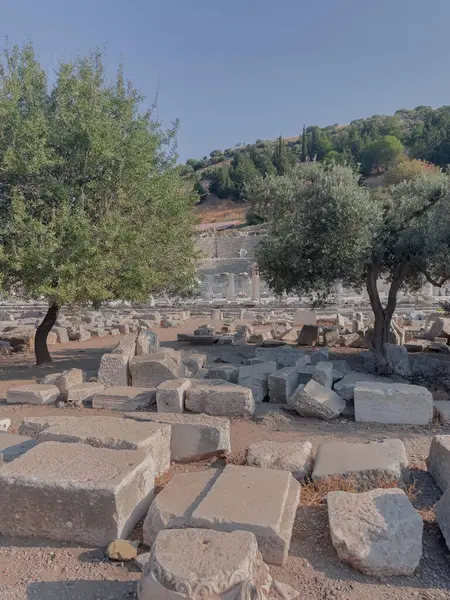 Tarihi Efes - Selcuk, Türkiye