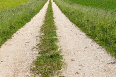 Almanya 'da düz çakıl tarlası yolu