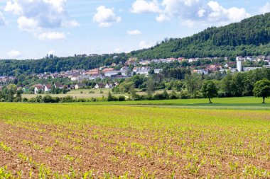 Treuchtlingen, Almanya Manzarası