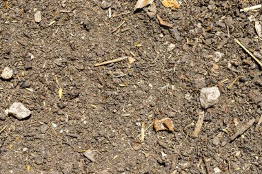 Kompozisyona yayılmış küçük kayalar, dallar ve organik maddelerle toprak dokusuna yakın çekim. Kahverengi ve gri renkler hakim.