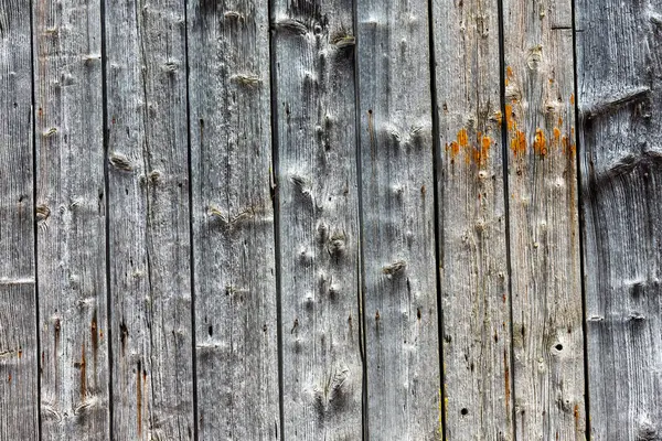 Görünür düğümler, tahıllar ve turuncu renk bozulması izleri ile gri tonlarında dikey tahtalar içeren yıpranmış ahşap bir duvara yakın plan..