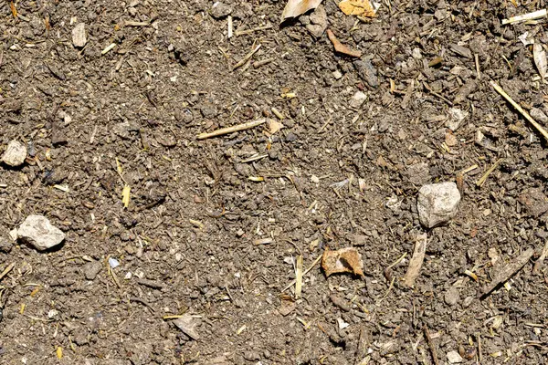 Kompozisyona yayılmış küçük kayalar, dallar ve organik maddelerle toprak dokusuna yakın çekim. Kahverengi ve gri renkler hakim.