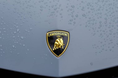 Nuremberg, Almanya - 25 Mayıs 2025: Su damlacıklarıyla kaplı gri bir araba kaputunun üzerindeki Lamborghini logosu. Logo altın, siyah ve sarı..