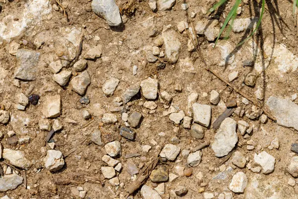 Yakın çekim kuru, açık kahverengi toprak ve küçük kayalar. Sağ üstte seyrek bitki örtüsü. Doku pürüzlü ve düzensiz..