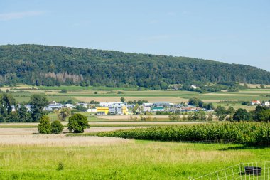 Ön planda yeşil tarlaları olan bir manzara, orta yerde bir kasaba ve arka planda açık bir gökyüzünün altında bir orman tepesi..