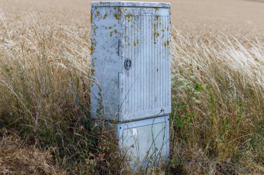 Yıpranmış bir alet kutusu, bir tarlada uzun otların arasında duruyor, yaş ve ihmal belirtileri gösteriyor..
