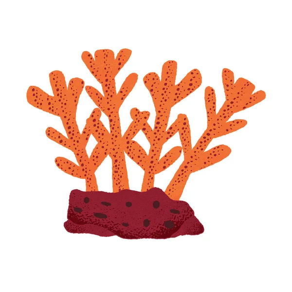 在夏季海洋主题中以白色背景隔离的卡通珊瑚 元素说明 — 图库照片
