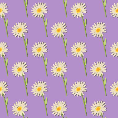 Mor arka planda kusursuz papatya deseni. Minimum bahar çiçekli bir kavram, Vektör.