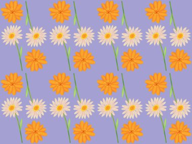 Mor bir arka planda el çizimi renk bahar çiçekli bir resimde papatya ve turuncu kozmosun kusursuz bir deseni.