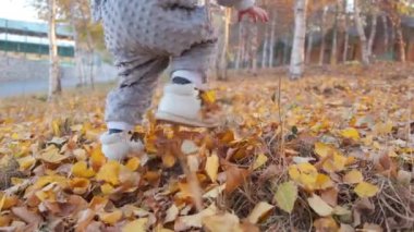 Sevimli küçük çocuk sonbahar yapraklarının arasında yürüyor ve gülümsüyor. Yüksek kalite 4k görüntü