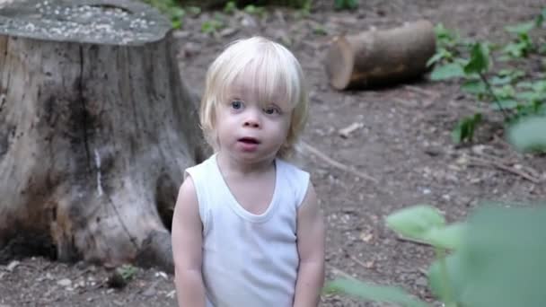 Little Cute Boy Walking Stump High Quality Footage — Stock Video