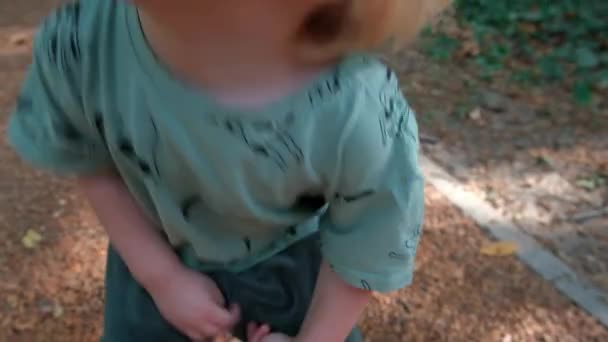 Słodki Chłopczyk Patrzy Kamerę Potem Idzie Ścieżką Parku Wysokiej Jakości — Wideo stockowe