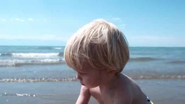 Little Cute Boy Playing Shore Waves High Quality Footage — Stock Video