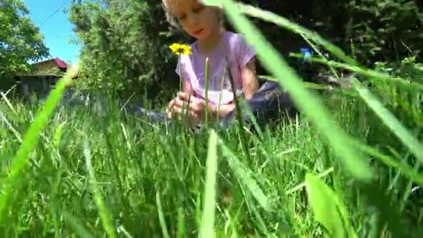Portræt Lille Trist Pige Sidder Græsplænen Granen Høj Kvalitet Optagelser – Stock-video