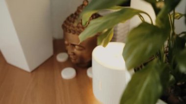 Close-up of the head of the holy Buddha from plaster. High quality 4k footage