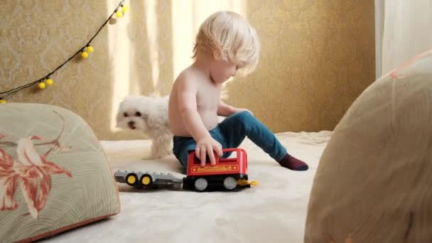 Cute Little Boy Playing Train Dog High Quality Footage — стоковое видео