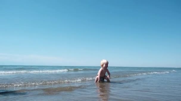Little Cute Boy Playing Shore Waves High Quality Footage — Wideo stockowe