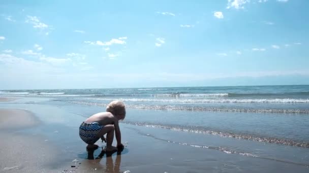 Маленький Милый Мальчик Играет Берегу Волнами Высококачественные Кадры — стоковое видео