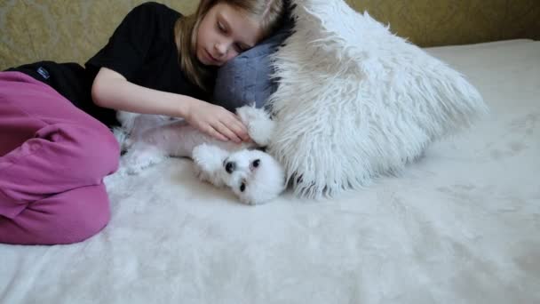 Auf Einer Weißen Decke Streichelt Ein Mädchen Einen Kleinen Hund — Stockvideo